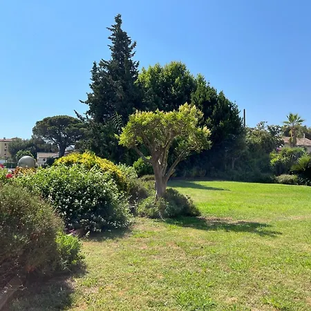 3 Pieces Avec Piscine , A 5 Mn A Pied De La Plage